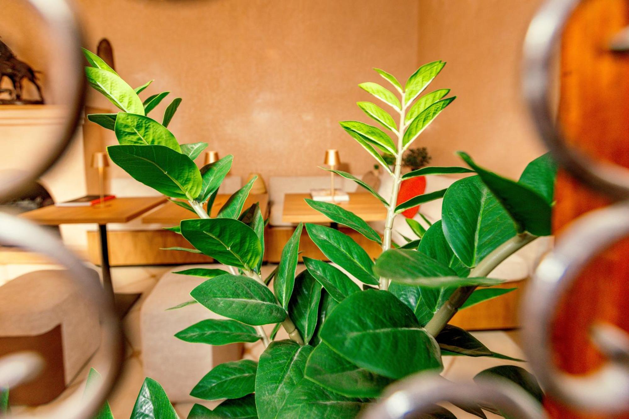 Riad Luciano Hotel And Spa マラケシュ エクステリア 写真